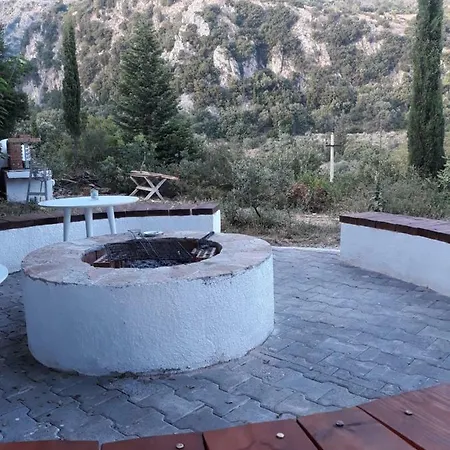 Penelope's 3*