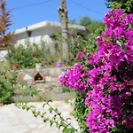 Penelope's Pensjonat Dhërmi