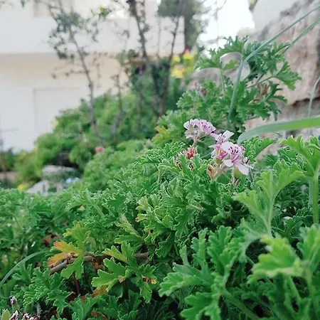 Penelope's Πανσιόν 3*