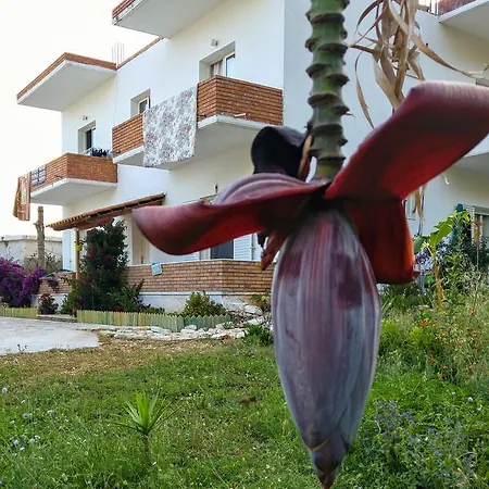 ゲストハウス Penelope's Dhërmi