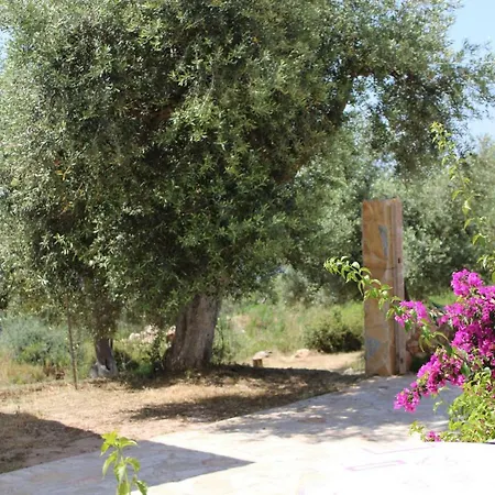 Πανσιόν Penelope's Dhërmi