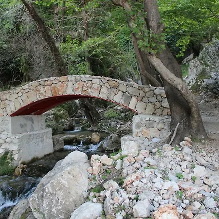 Penelope's Πανσιόν