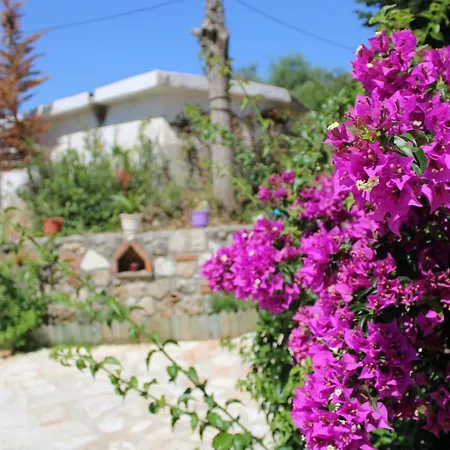 Penelope's Πανσιόν Dhërmi