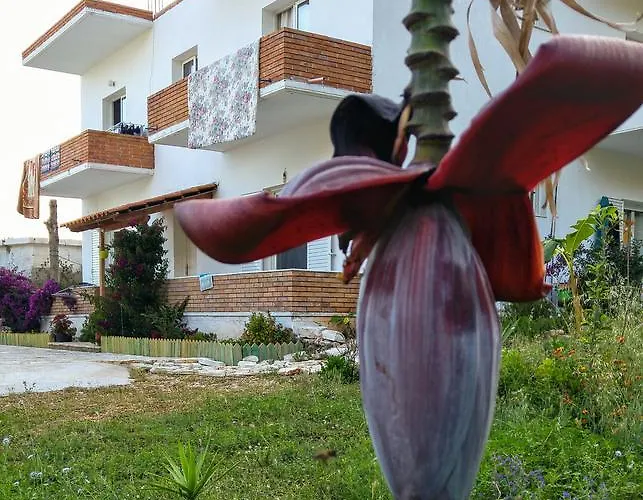 Penzion Penelope's Dhërmi