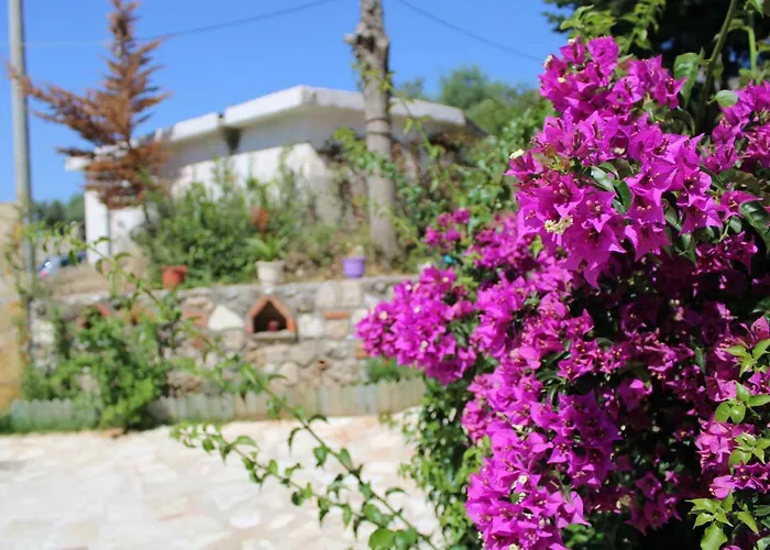 Penelope's Penzion Dhërmi